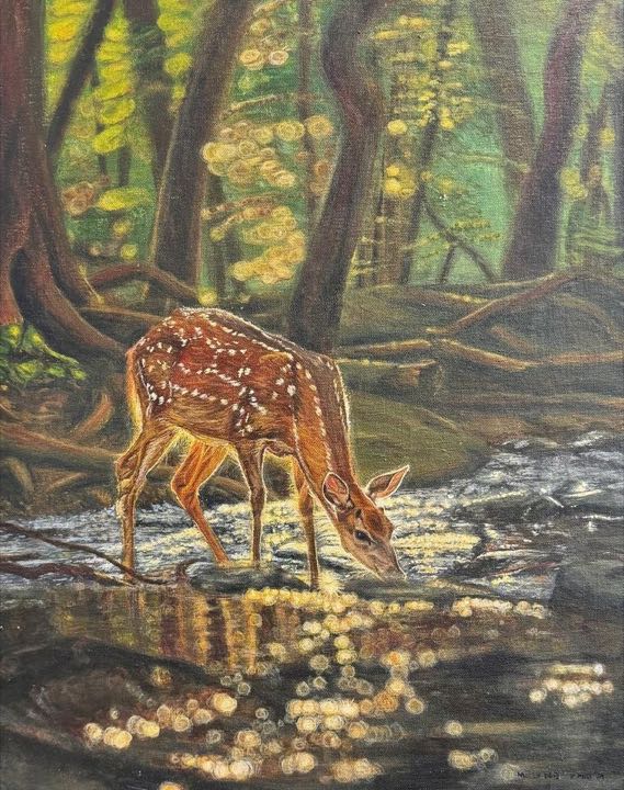 A spotted fawn drinking from a sunlit forest stream