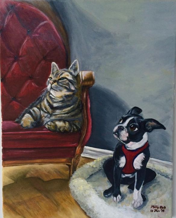 A tabby cat on a red chair and a Boston terrier